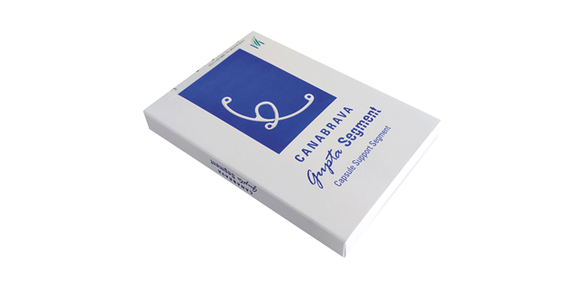 Capsule Support Segment